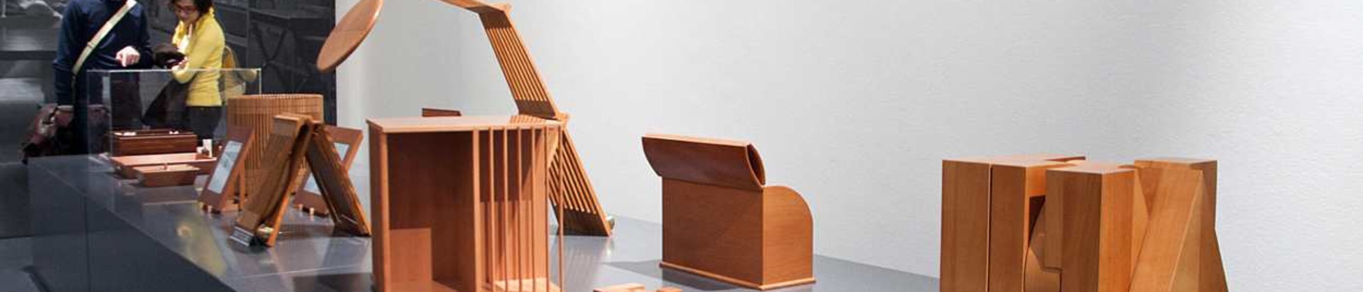 Triennale Palace Pierluigi Ghianda Exhibition - main project view