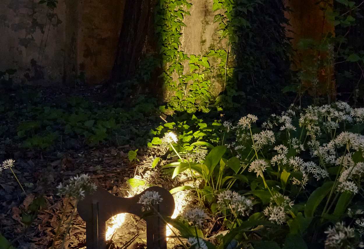 Italy Milan Brera Botanical Garden zoom led - building lights