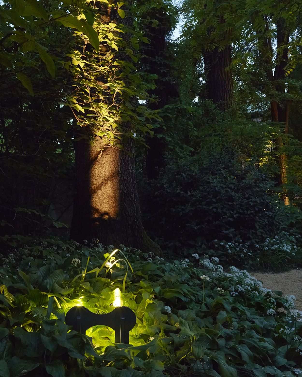 Italy Milan Brera Botanical Garden detail tree light - building lights