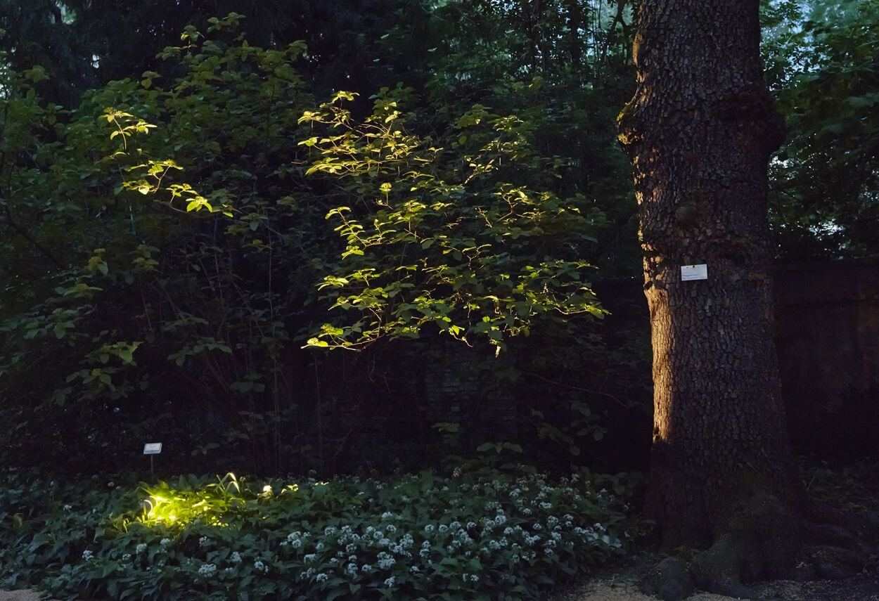 Italy Milan Brera Botanical Garden night view - building lights