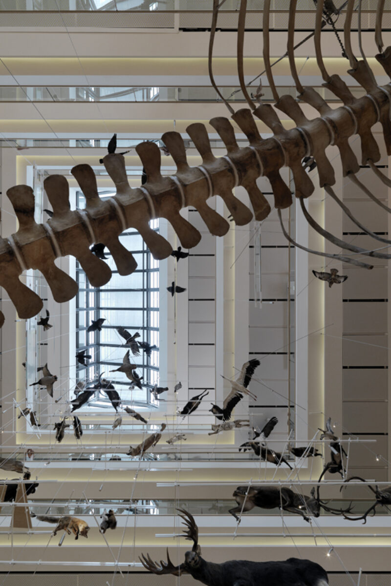 Italy Trento MUSE Science Museum