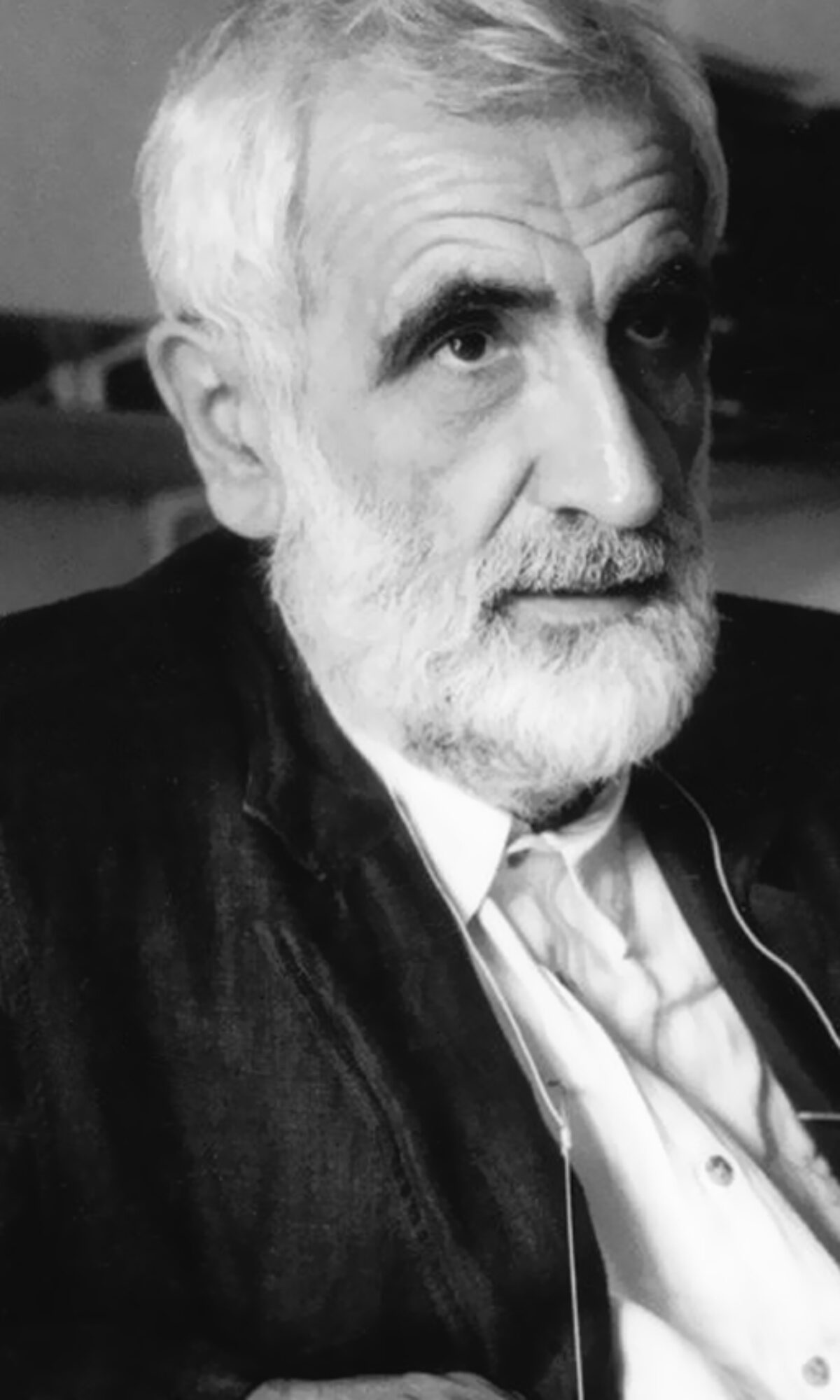 Enzo Mari Self-Portrait