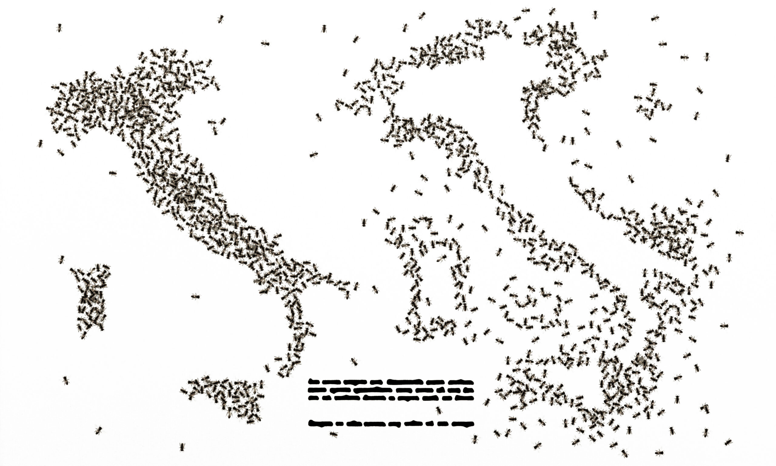 Italy Milan Royal Palace Exhibition Emilio Isgrò