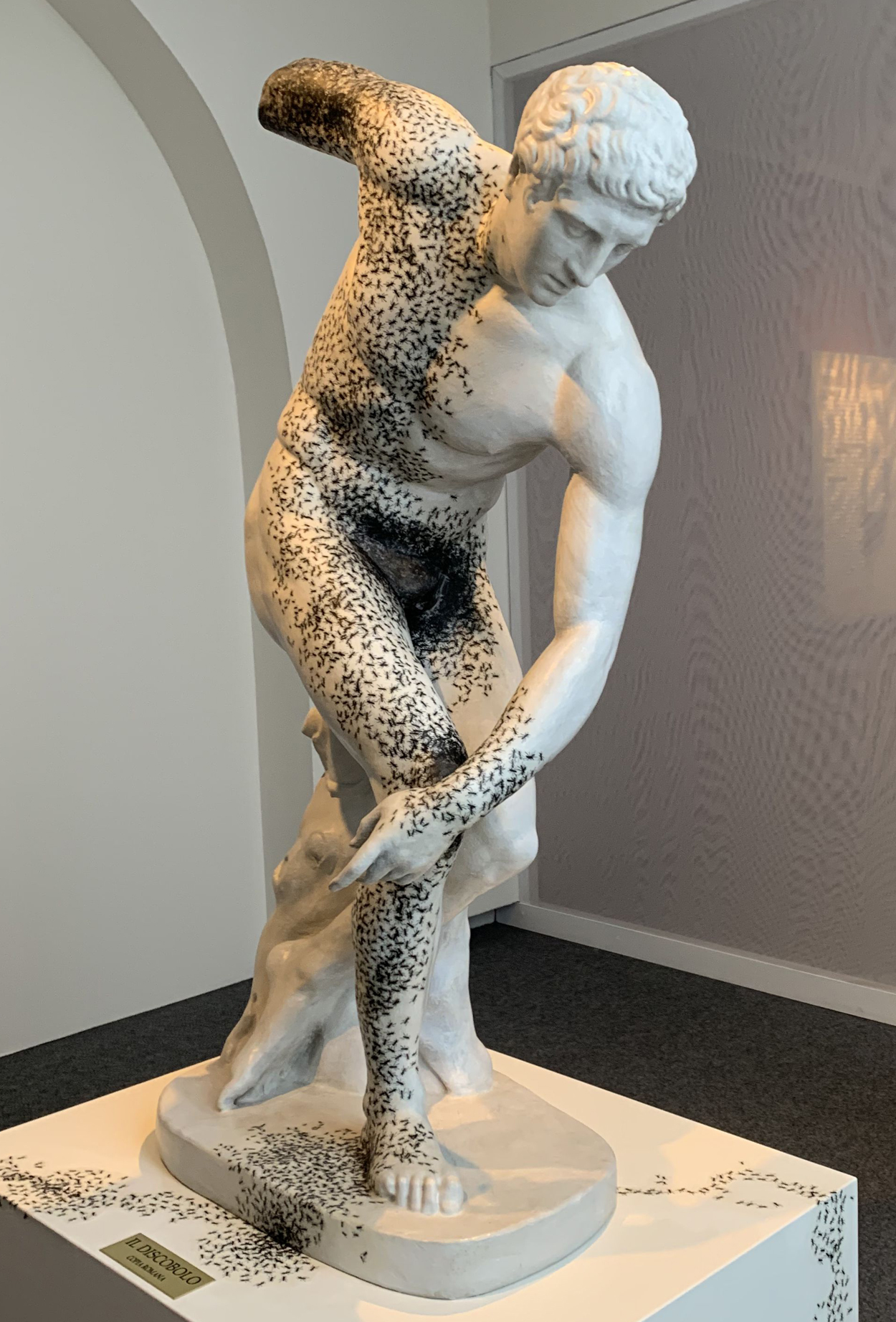 The sculpture "Il Discobolo" with the work of Emilio Isgrò
