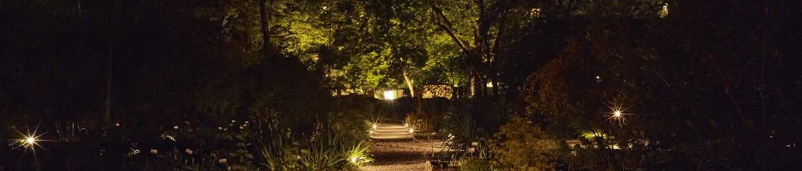 Brera Botanical Garden viale principale illuminato - design luce