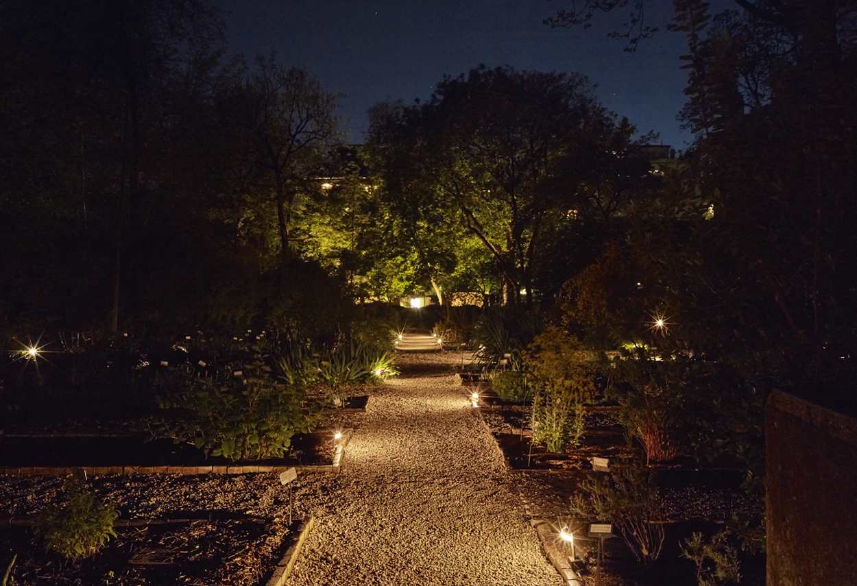 Milano Orto botanico di Brera Brera Botanical Garden viale principale illuminato - design luce