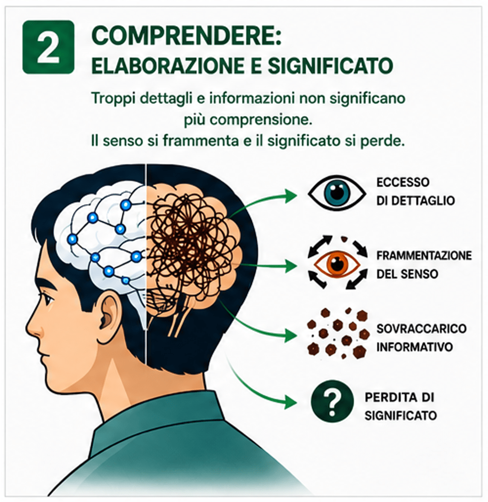 Elaborare Comprendere